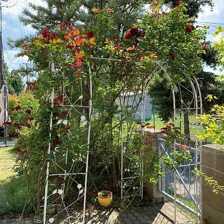 Holiday home Greenapple Badacsony